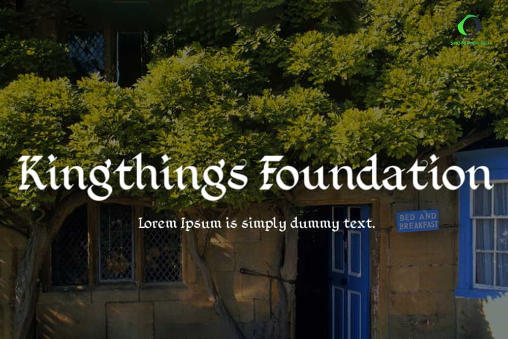  Kingthings foundation