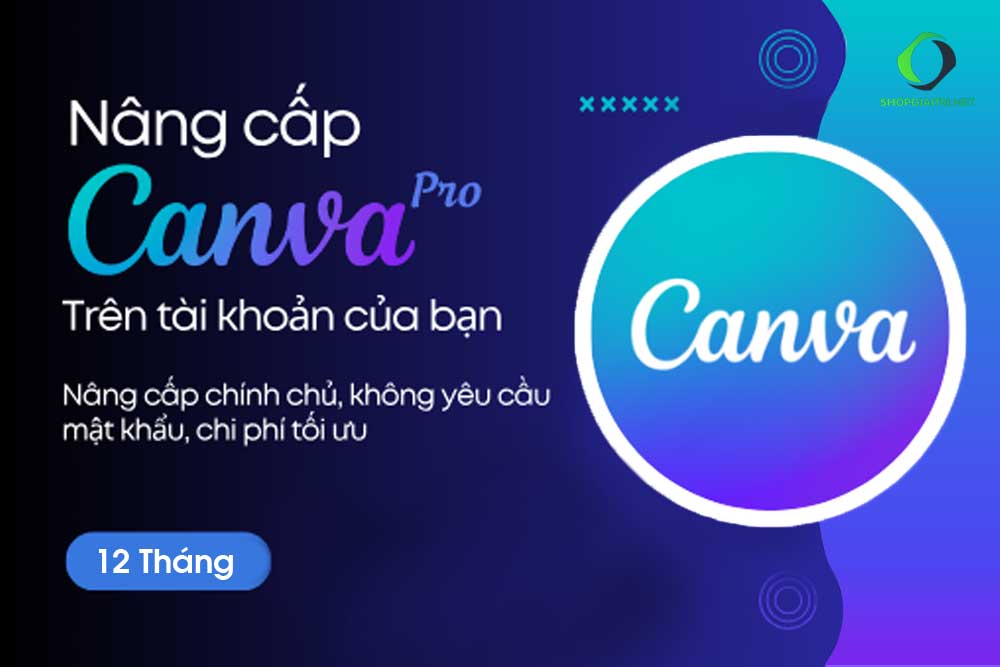 nâng cấp tài khoản canva